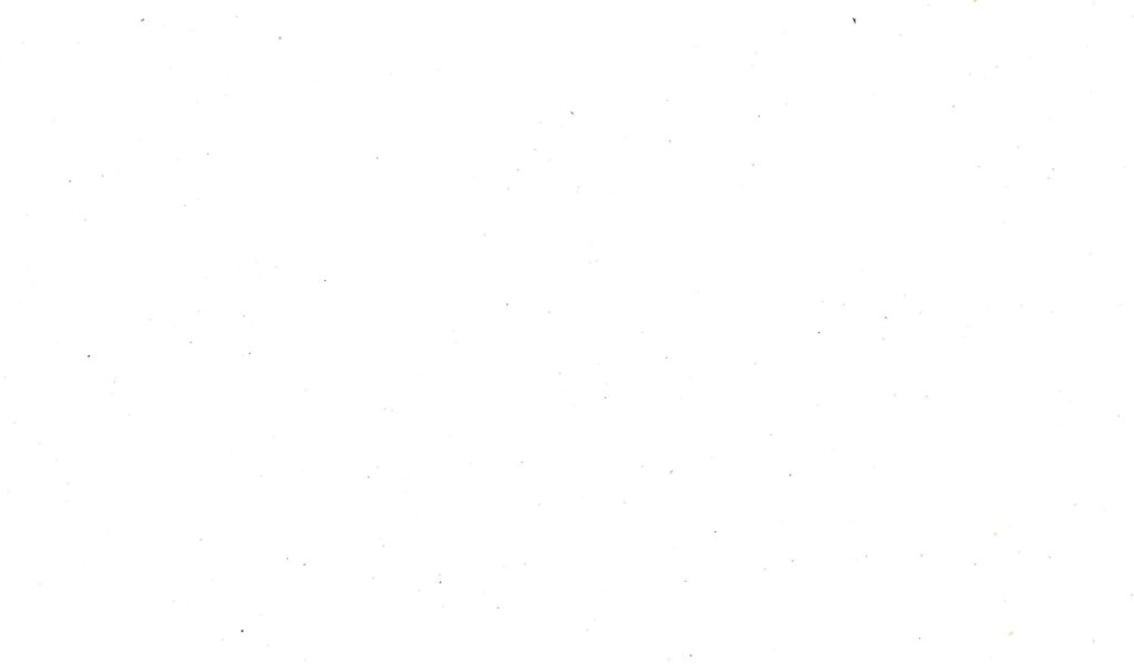 white wp